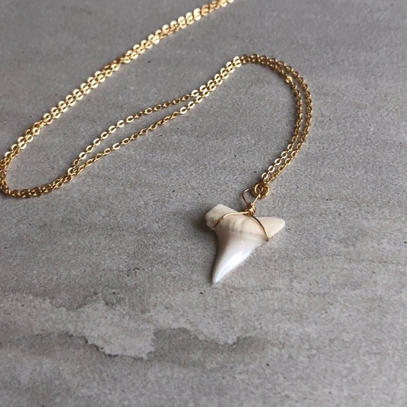 ❗️LAST❗️Dainty Shark Tooth Necklace - Picture 4 of 6